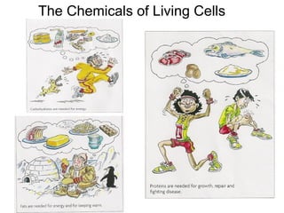 The Chemicals of Living Cells
 