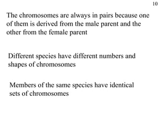 The chromosomes are always in pairs because one
of them is derived from the male parent and the
other from the female parent
Different species have different numbers and
shapes of chromosomes
Members of the same species have identical
sets of chromosomes
10
 