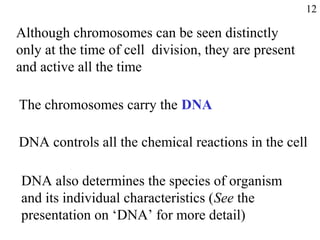 Although chromosomes can be seen distinctly
only at the time of cell division, they are present
and active all the time
The chromosomes carry the DNA
DNA controls all the chemical reactions in the cell
DNA also determines the species of organism
and its individual characteristics (See the
presentation on ‘DNA’ for more detail)
12
 