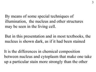 By means of some special techniques of
illumination, the nucleus and other structures
may be seen in the living cell.
But in this presentation and in most textbooks, the
nucleus is shown dark, as if it had been stained
It is the differences in chemical composition
between nucleus and cytoplasm that make one take
up a particular stain more strongly than the other
3
 