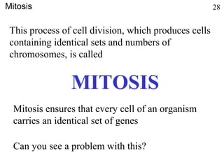 This process of cell division, which produces cells
containing identical sets and numbers of
chromosomes, is called
MITOSIS
Mitosis 28
Mitosis ensures that every cell of an organism
carries an identical set of genes
Can you see a problem with this?
 