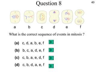 40
What is the correct sequence of events in mitosis ?
a b c d e f
(c) c, b, a, e, d, f
(a) c, d, a, b, e, f
(b) b, c, a, d, e, f
(d) c, b, d, a, e, f
Question 8
 