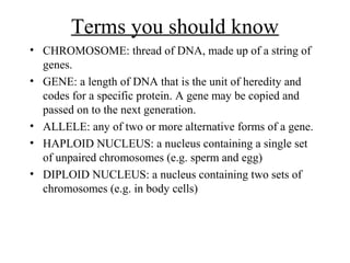 Terms you should know
• CHROMOSOME: thread of DNA, made up of a string of
genes.
• GENE: a length of DNA that is the unit of heredity and
codes for a specific protein. A gene may be copied and
passed on to the next generation.
• ALLELE: any of two or more alternative forms of a gene.
• HAPLOID NUCLEUS: a nucleus containing a single set
of unpaired chromosomes (e.g. sperm and egg)
• DIPLOID NUCLEUS: a nucleus containing two sets of
chromosomes (e.g. in body cells)
 