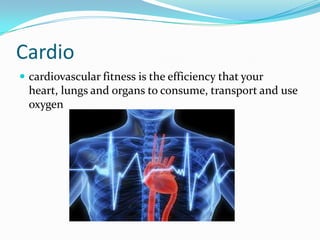 Cardiocardiovascular fitness is the efficiency that your heart, lungs and organs to consume, transport and use oxygen