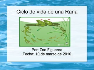 Ciclo de vida de una Rana Por: Zoe Figueroa Fecha: 10 de marzo de 2010 