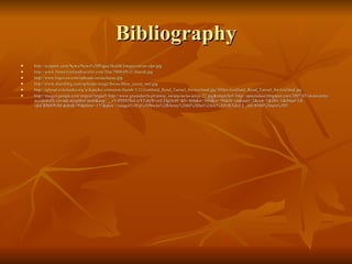 Bibliography http://scrapetv.com/News/News%20Pages/Health/Images/swiss-alps.jpg http://www.theswitzerlandtraveler.com/files/2008/05/c1-thumb.jpg http://www.bigoven.com/uploads/swisscheese.jpg http://www.duetsblog.com/uploads/image/Swiss-Miss_cocoa_sml.jpg http://upload.wikimedia.org/wikipedia/commons/thumb/3/32/Gotthard_Road_Tunnel_Switzerland.jpg/300px-Gotthard_Road_Tunnel_Switzerland.jpg http://images.google.com/imgres?imgurl=http://www.greendevils.pl/armie_swiata/swiss-army-22.jpg&imgrefurl=http://spaceislost.blogspot.com/2007/03/swiss-army-accidentally-invade-neighbor.html&usg=__vVJP9D3NsLxiYFabjWvmUDgOeJ8=&h=468&w=650&sz=98&hl=en&start=2&um=1&itbs=1&tbnid=GI-zdcCRMt9YtM:&tbnh=99&tbnw=137&prev=/images%3Fq%3DSwiss%2BArmy%26hl%3Den%26rlz%3D1R2GGLL_enUS346%26um%3D1 