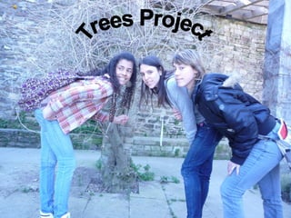 Trees Project 