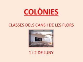 COLÒNIES
CLASSES DELS CANS I DE LES FLORS
1 i 2 DE JUNY
 