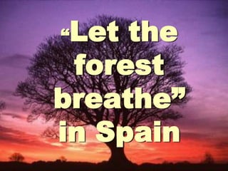 “Let the forest breathe” in Spain 