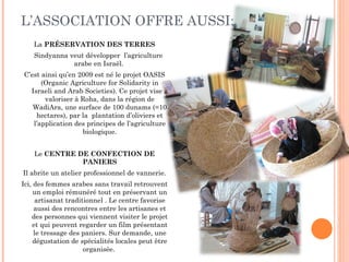 L’ASSOCIATION OFFRE AUSSI: La  PRÉSERVATION DES TERRES Sindyanna veut développer  l’agriculture arabe en Israël.  C’est ainsi qu’en 2009 est né le projet OASIS (Organic Agriculture for Solidarity in Israeli and Arab Societies). Ce projet vise à valoriser à Roha, dans la région de WadiAra, une surface de 100 dunams (=10 hectares), par la  plantation d’oliviers et l’application des principes de l’agriculture biologique. Le  CENTRE DE CONFECTION DE PANIERS Il abrite un atelier professionnel de vannerie. Ici, des femmes arabes sans travail retrouvent un emploi rémunéré tout en préservant un artisanat traditionnel . Le centre favorise aussi des rencontres entre les artisanes et des personnes qui viennent visiter le projet et qui peuvent regarder un film présentant le tressage des paniers. Sur demande, une dégustation de spécialités locales peut être organisée.  