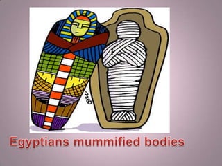 Egyptians mummified bodies
