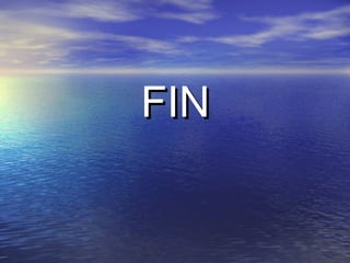FINFIN
 