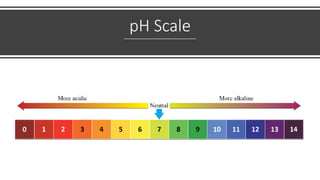 pH Scale
 