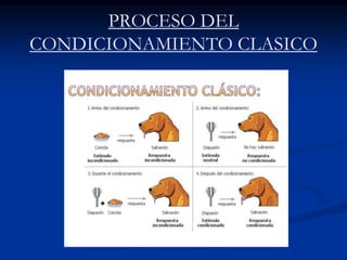 PROCESO DEL
CONDICIONAMIENTO CLASICO
 