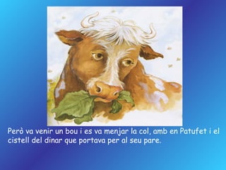 Però va venir un bou i es va menjar la col, amb en Patufet i el cistell del dinar que portava per al seu pare. 