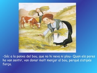 -Sóc a la panxa del bou, que no hi neva ni plou- Quan els pares ho van sentir, van donar molt menjar al bou, perquè s’atipés força. 