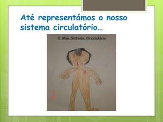 Até representámos o nosso sistema circulatório…