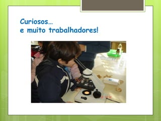 Curiosos…e muito trabalhadores!