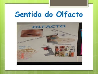 Sentido do Olfacto