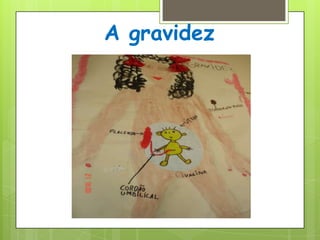 A gravidez