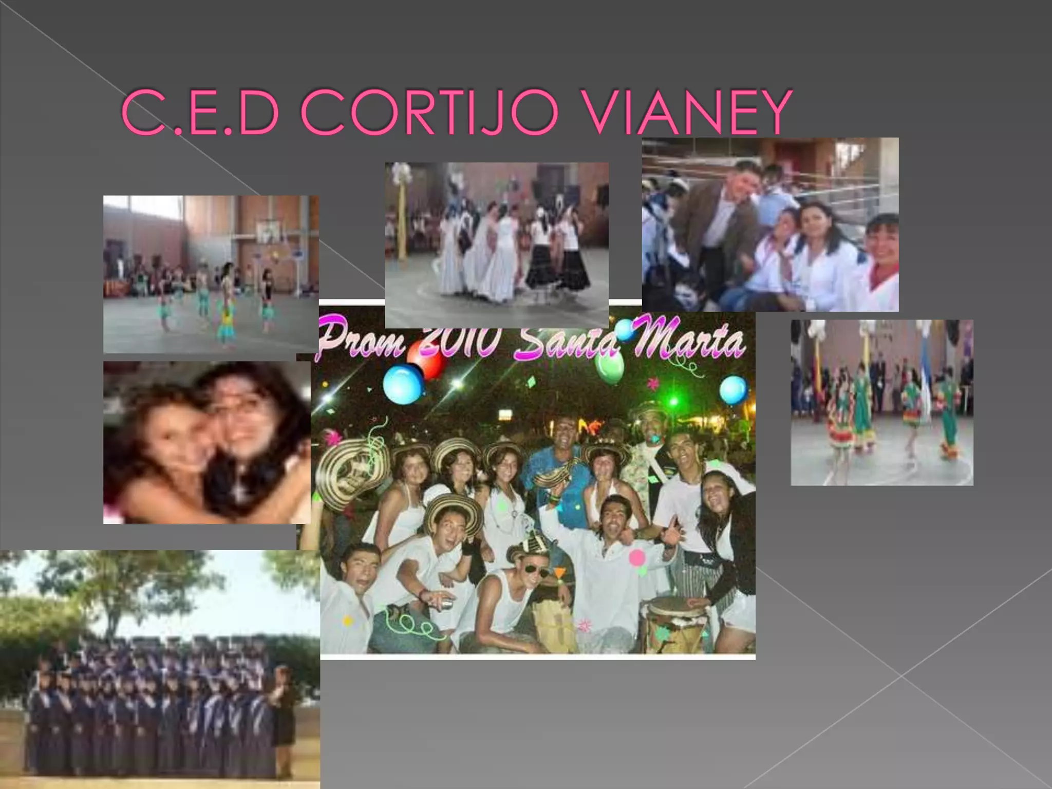 C.E.D CORTIJO VIANEY