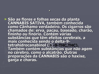 . São as flores e folhas secas da planta CANNABIS SATIVA, também conhecida como Cânhamo verdadeiro. Os cigarros são chamados de: erva, pacau, baseado, charão, fininho ou finório. Contém várias substâncias que têm efeitos cerebrais, a mais conhecida sendo o delta-9-tetrahidrocanabinol (-9-THC,THC). Também contém substâncias que não agem no cérebro, como o alcatrão. Outras preparações da CANNABIS são o haxixe, ganja e charas. 