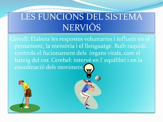 LES FUNCIONS DEL SISTEMA
NERVIÒS
Cervell: Elabora les respostes voluntaries i influeix en el
pensament, la memòria i el llenguatge. Bulb raquidi:
controla el fucionament dels òrgans vitals, com el
bateig del cor. Cerebel: intervé en l`equilibri i en la
coordinació dels movimets.
 
