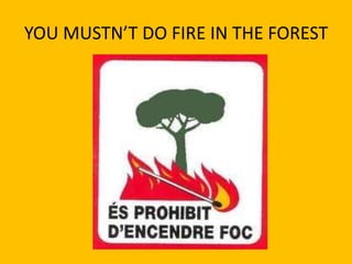 YOU MUSTN’T DO FIRE IN THE FOREST
 