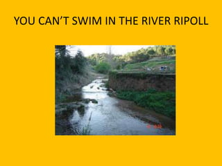 YOU CAN’T SWIM IN THE RIVER RIPOLL
 