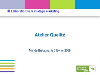 Elaboration de la stratégie marketing




                  Atelier Qualité


             Mûr de Bretagne, le 6 février 2009
 
