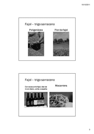 19/10/2011




Fajol – trigo sarraceno
     Poligonàcea                Flor de fajol




Fajol – trigo sarraceno

Cerveces amb fajol, blat de     Macarrons
      blanc,
m oro blanc , arròs o espelta




                                                        3
 