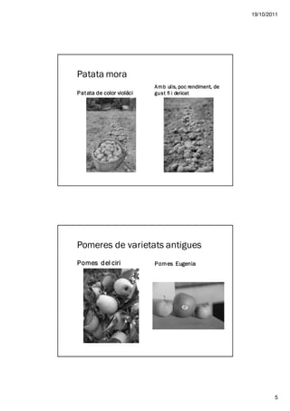 19/10/2011




Patata mora
                                 ulls,      rendiment,
                            A mb ulls, poc rendiment, de
P at ata de color violáci   gust fi i delicat




Pomeres de varietats antigues
Pomes d el ciri             P om es Eugenia




                                                                   5
 
