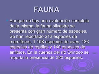 FAUNA
 Aunque no hay una evaluación completa
 de la misma, la fauna silvestre se
 presenta con gran número de especies.
 Se han reportado 212 especies de
 mamíferos, 1.108 especies de aves, 133
 especies de reptiles y 140 especies de
 anfibios. En la cuenca del río Orinoco se
 reporta la presencia de 320 especies.
 