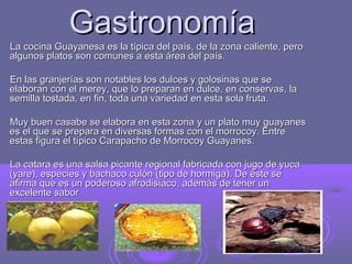Gastronomía
La cocina Guayanesa es la típica del país, de la zona caliente, pero
algunos platos son comunes a esta área del país.

En las granjerías son notables los dulces y golosinas que se
elaboran con el merey, que lo preparan en dulce, en conservas, la
semilla tostada, en fin, toda una variedad en esta sola fruta.

Muy buen casabe se elabora en esta zona y un plato muy guayanes
es el que se prepara en diversas formas con el morrocoy. Entre
estas figura el típico Carapacho de Morrocoy Guayanes.

La catara es una salsa picante regional fabricada con jugo de yuca
(yare), especies y bachaco culón (tipo de hormiga). De éste se
afirma que es un poderoso afrodisíaco, además de tener un
excelente sabor
 