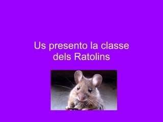 Us presento la classe dels Ratolins 