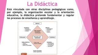 La Didáctica 
Está vinculada con otras disciplinas pedagógicas como, 
por ejemplo, la organización escolar y la orientación 
educativa, la didáctica pretende fundamentar y regular 
los procesos de enseñanza y aprendizaje. 
 