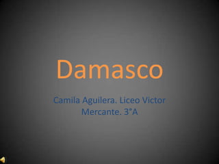 Damasco
Camila Aguilera. Liceo Victor
       Mercante. 3°A
 
