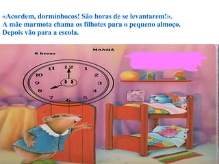 «Acordem, dorminhocos! São horas de se levantarem!». A mãe marmota chama os filhotes para o pequeno almoço. Depois vão para a escola.   