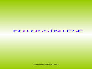 FOTOSSÍNTESE 