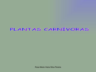 PLANTAS CARNÍVORAS 