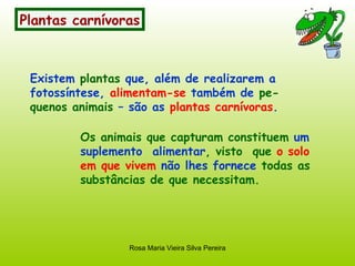 Plantas carnívoras Existem  plantas  que, além de realizarem a fotossíntese,  alimentam-se  também de  pe- quenos animais  – são as  plantas carnívoras . Os animais que capturam constituem  um suplemento  alimentar , visto  que  o solo   em que vivem   não lhes fornece  todas as substâncias de que necessitam. 