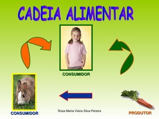 CADEIA ALIMENTAR PRODUTOR CONSUMIDOR CONSUMIDOR 