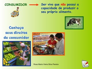 CONSUMIDOR  Ser vivo que  não  possui a capacidade de produzir o seu próprio alimento. 