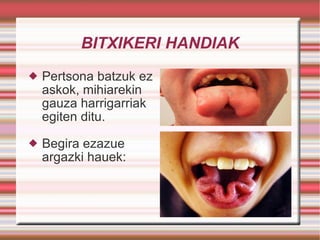 BITXIKERI HANDIAK Pertsona batzuk ez askok, mihiarekin gauza harrigarriak egiten ditu. Begira ezazue argazki hauek:  