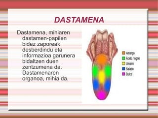 DASTAMENA Dastamena, mihiaren dastamen-papilen bidez zaporeak desberdindu eta informazioa garunera bidaltzen duen zentzumena da. Dastamenaren organoa, mihia da.  