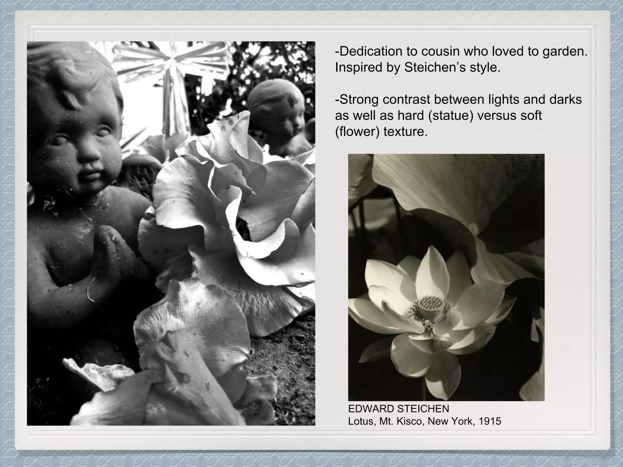 -Dedication to cousin who loved to garden.
Inspired by Steichen’s style.
-Strong contrast between lights and darks
as well as hard (statue) versus soft
(flower) texture.
EDWARD STEICHEN
Lotus, Mt. Kisco, New York, 1915
 