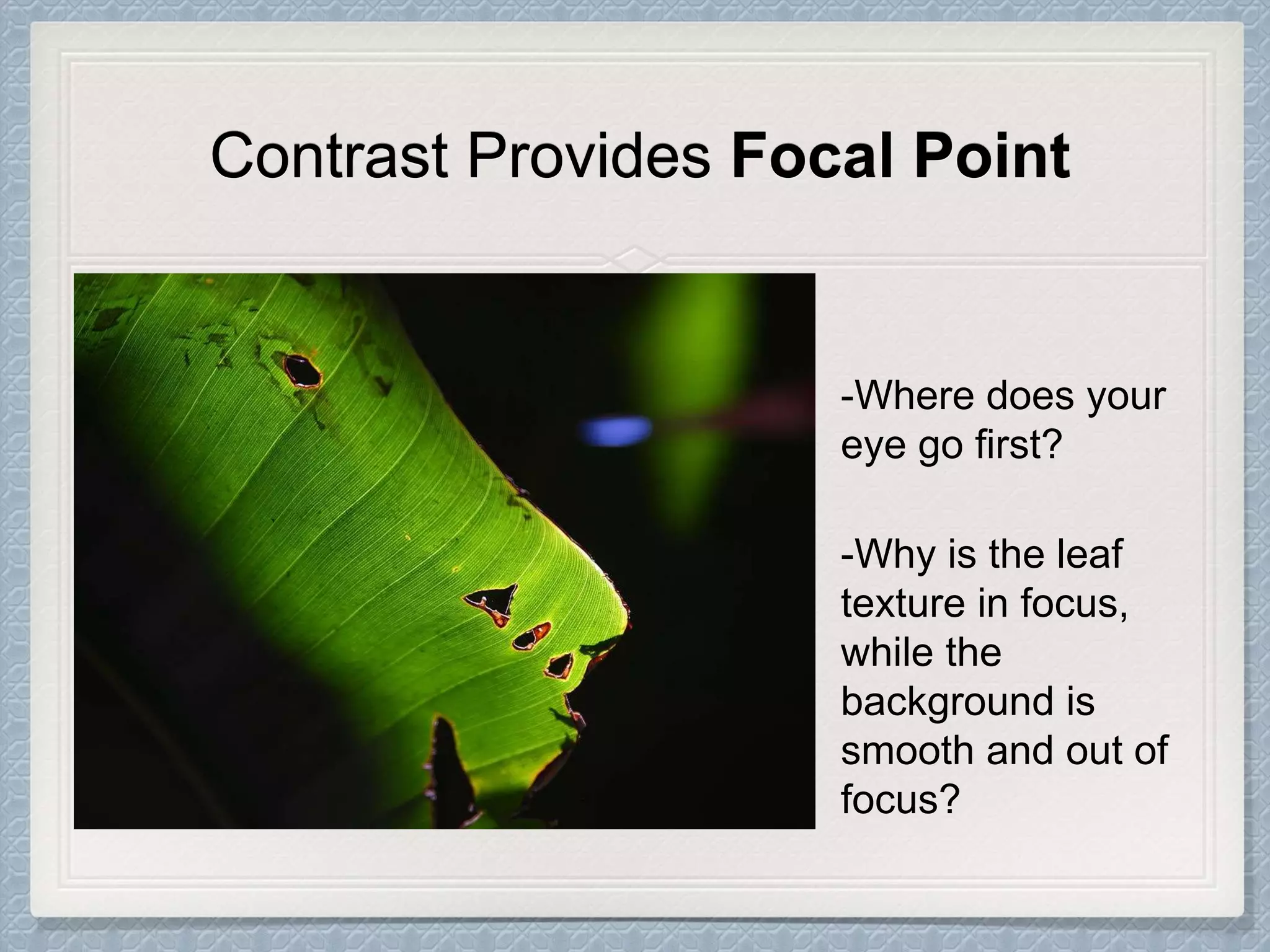 Contrast Provides Focal Point
-Where does your
eye go first?
-Why is the leaf
texture in focus,
while the
background is
smooth and out of
focus?
 