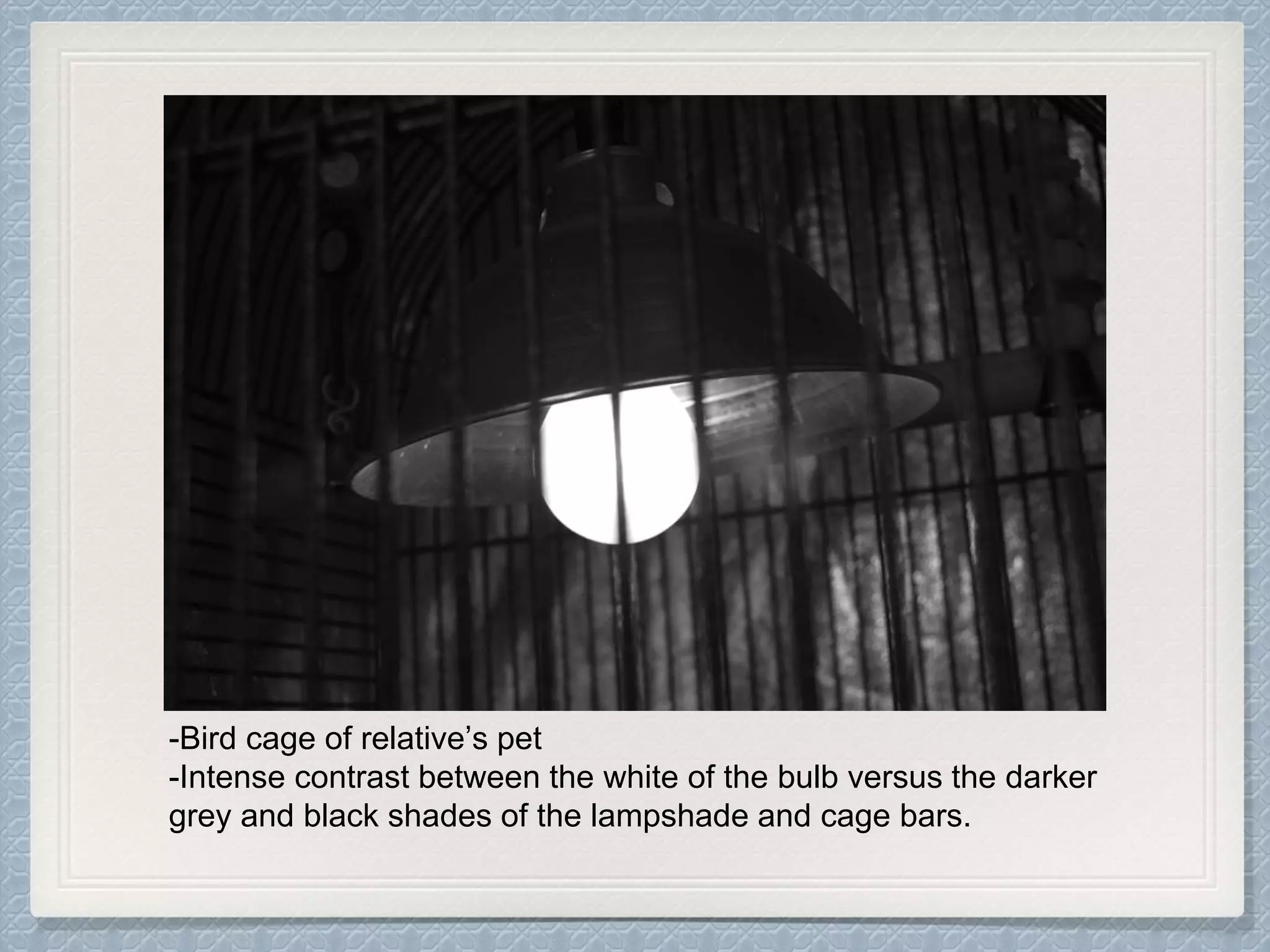 -Bird cage of relative’s pet
-Intense contrast between the white of the bulb versus the darker
grey and black shades of the lampshade and cage bars.
 