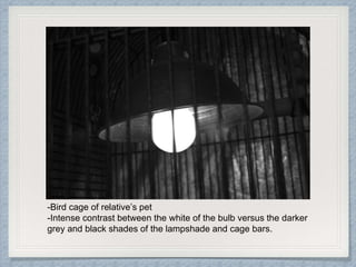 -Bird cage of relative’s pet
-Intense contrast between the white of the bulb versus the darker
grey and black shades of the lampshade and cage bars.
 