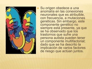 Su origen obedece a una anomalía en las conexiones neuronales que es atribuible, con frecuencia, a mutaciones genéticas.Sin embargo, este componente genético no siempre está presente, ya que se ha observado que los trastornos que sufre una persona autista pueden tener un componente multifactorial; dado que se ha descrito la implicación de varios factores de riesgo que actúan juntos.